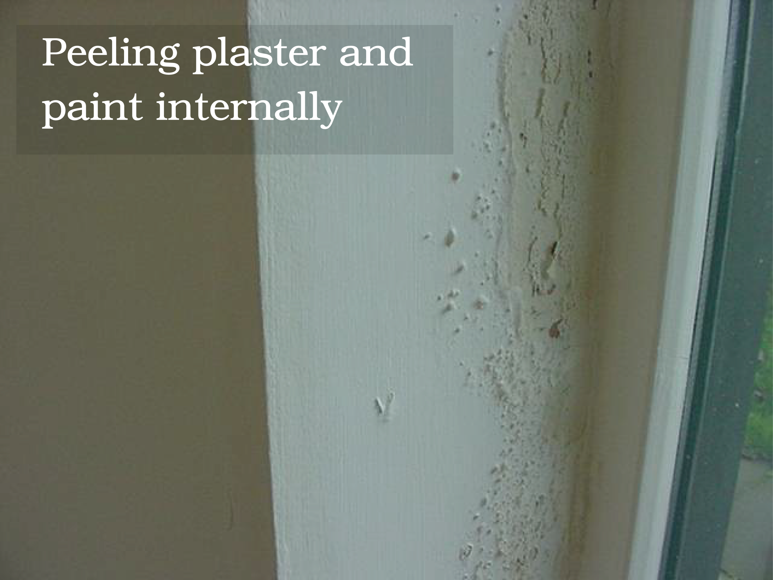 Damp Problems Defect Surveyor