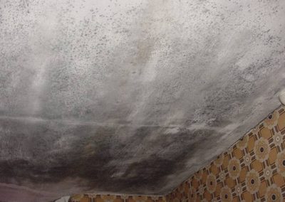 Ceiling covered in black mould This was an extreme case of dampness throughout the property